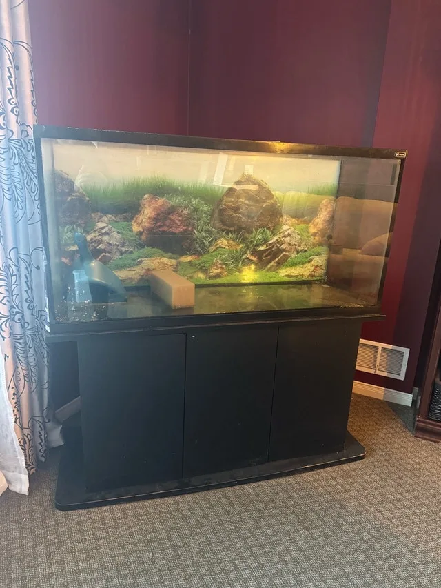 75 gallon fish tank