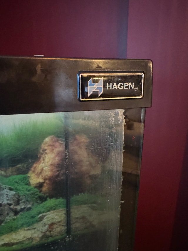 75 gallon fish tank - photo 2