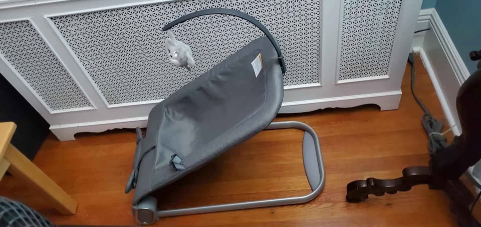 Baby Bouncer Gray #Cleanout