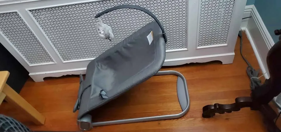 Baby Bouncer Gray #Cleanout