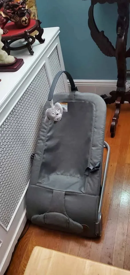 Baby Bouncer Gray #Cleanout image indicator(3)