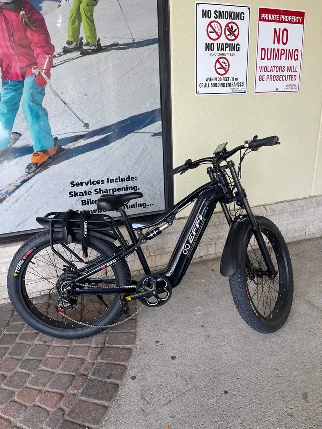 E-Bike for Sale – Practically Brand New (Only 150 km!) image indicator(2)