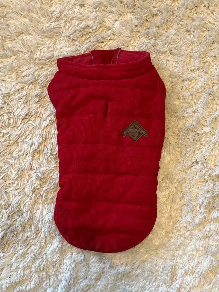 Red dog coat size small image indicator(5)