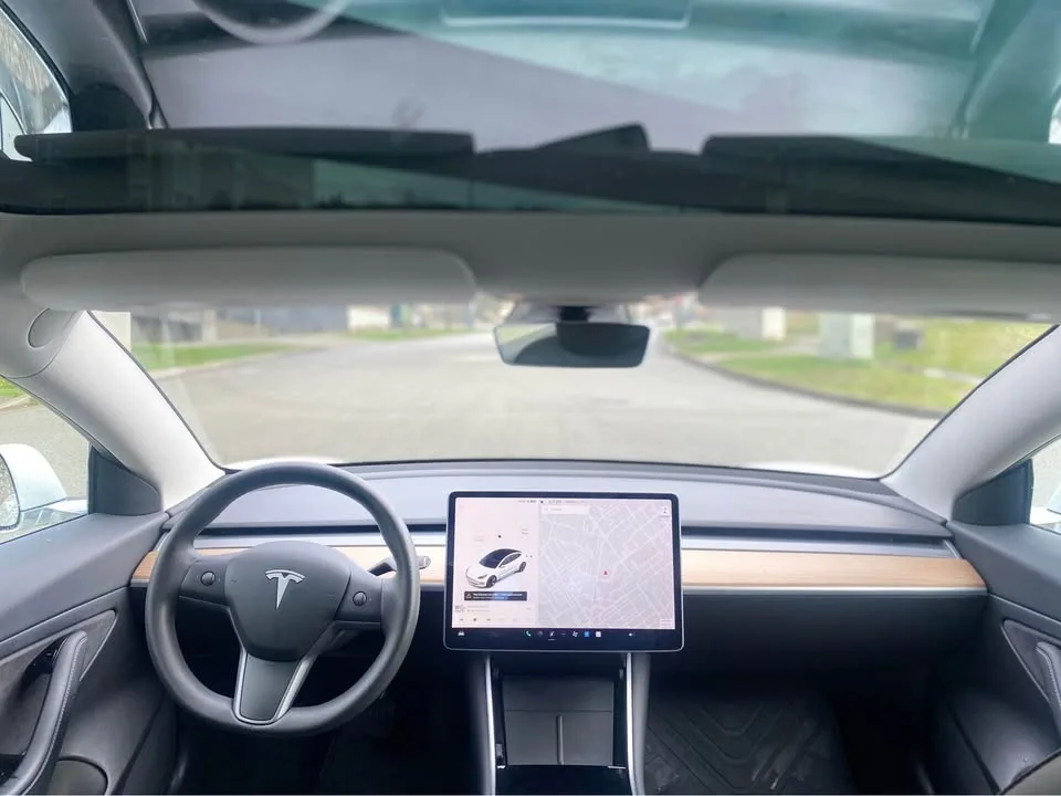 2020 Tesla Model 3 image indicator(10)