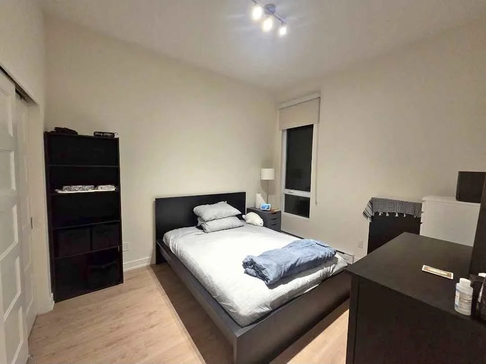 Queen Bedframe + Mattress