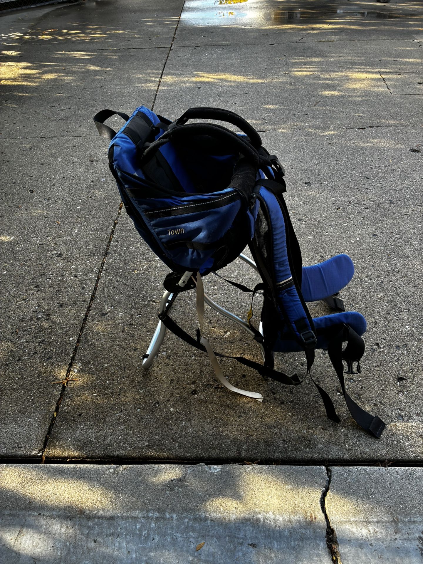 Infant Back Carrier