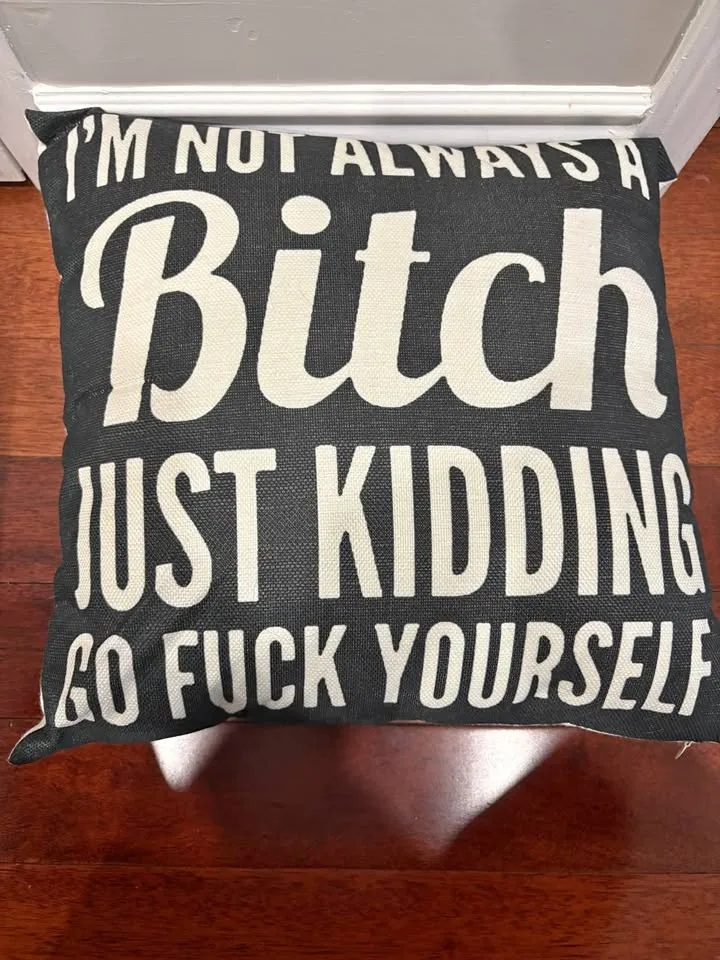 Pillow 17”x17” with a funny saying