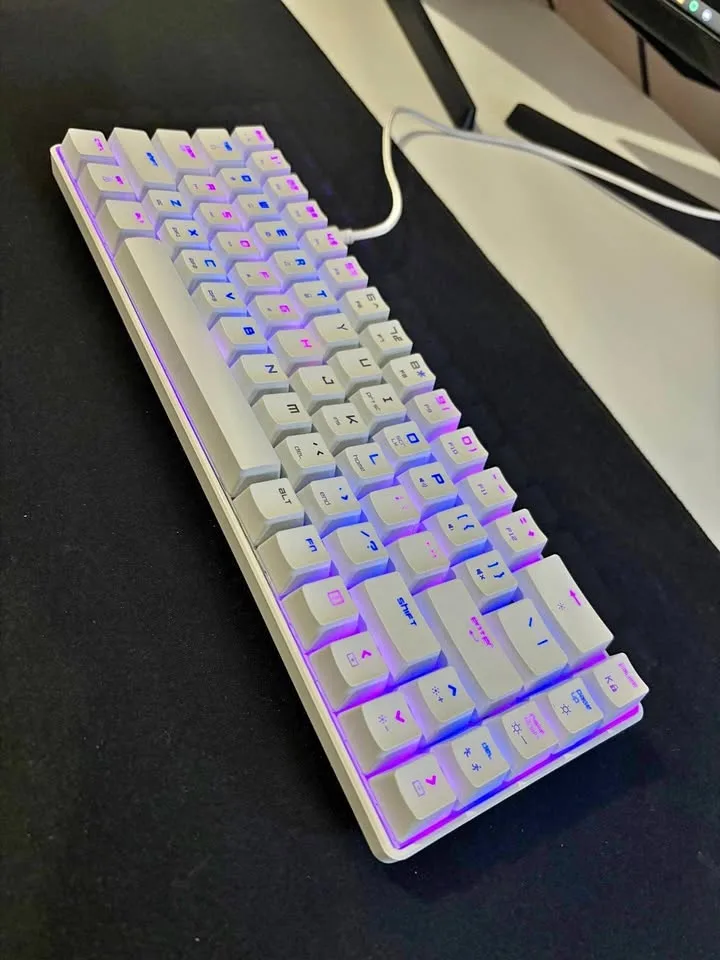 Wired 60% Mechanical Gaming Keyboard