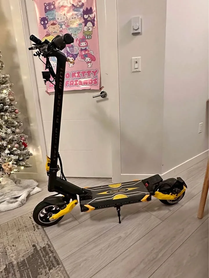 Scooter teverun blade mini