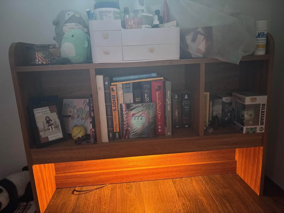 Bookshelf with lights - photo 3