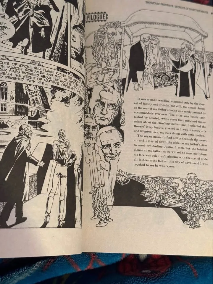 Secrets of Sinister House. DC Showcase. OOP. Very good image indicator(6)