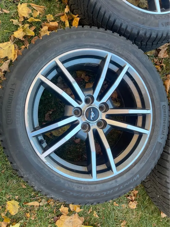 Ford Mustang 18” Continental Winter Wheels with TPMS image indicator(6)