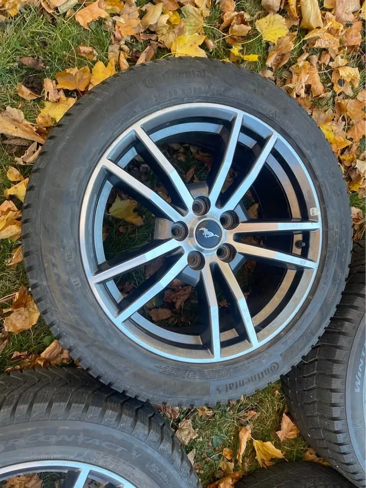 Ford Mustang 18” Continental Winter Wheels with TPMS image indicator(7)