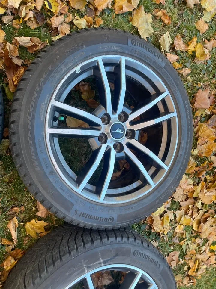 Ford Mustang 18” Continental Winter Wheels with TPMS image indicator(8)