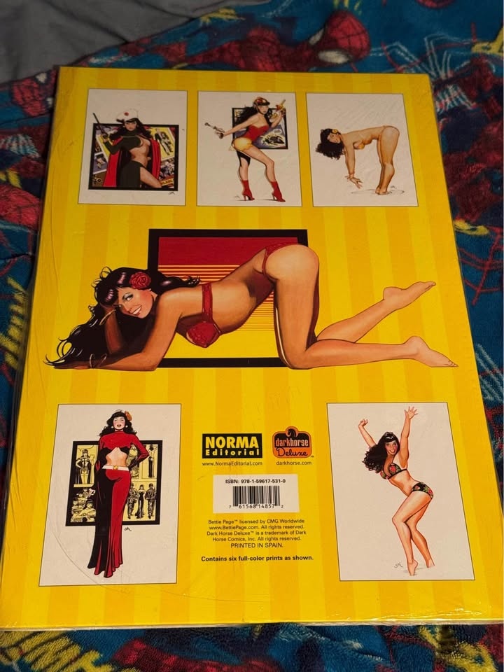 Bettie Page Jim Silke Portfolio. 2008. Great Art. New! - photo 2