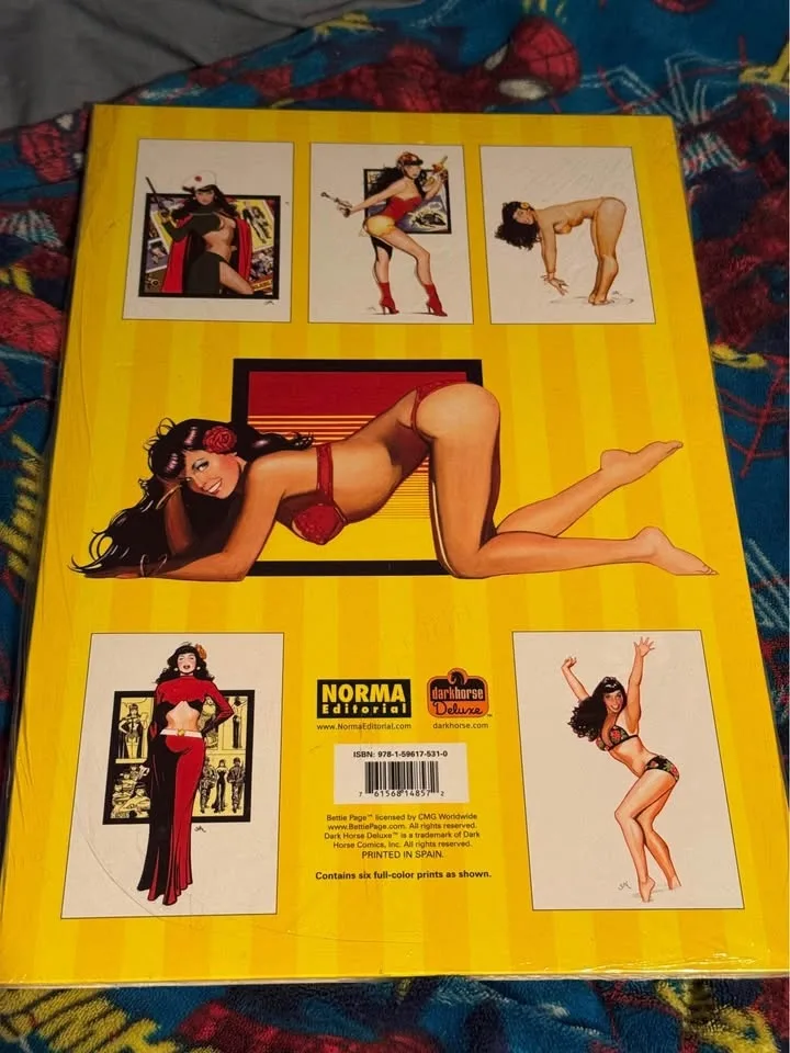 Bettie Page Jim Silke Portfolio. 2008. Great Art. New! image indicator(2)