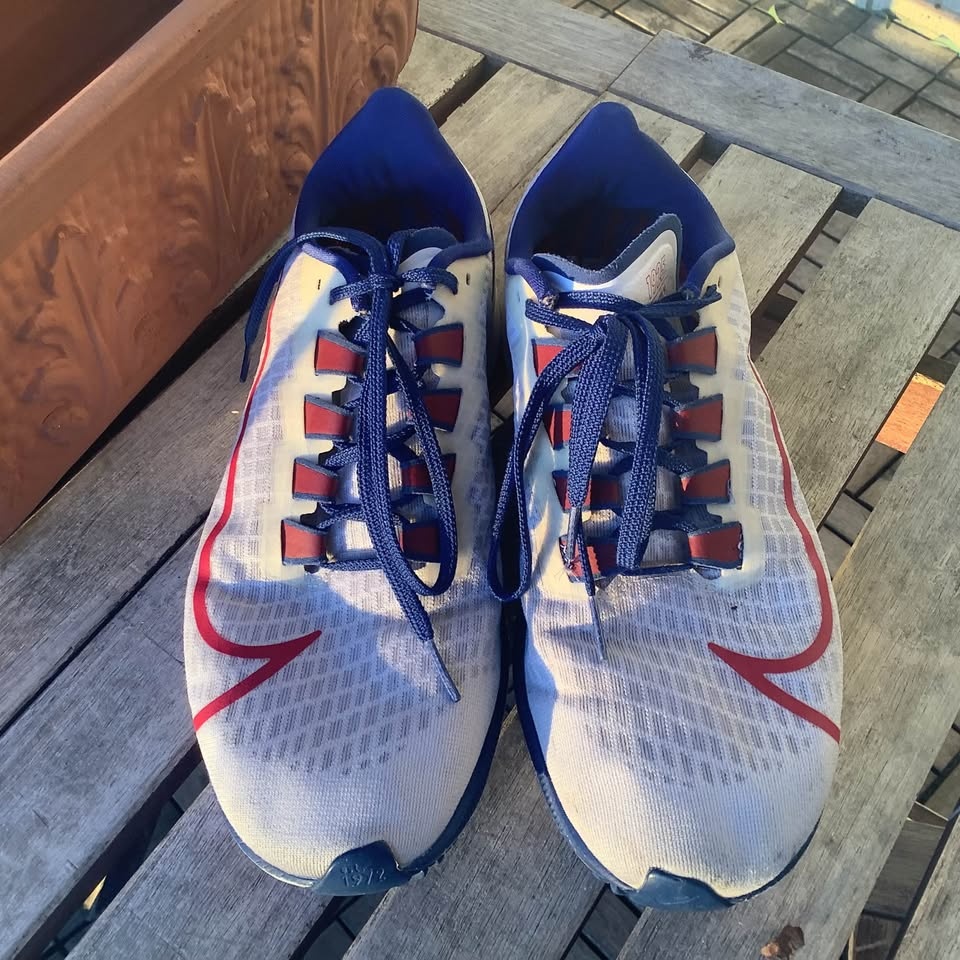 Nike Air Zoom Pegasus 37 New York Giants - size 9.0 - photo 3