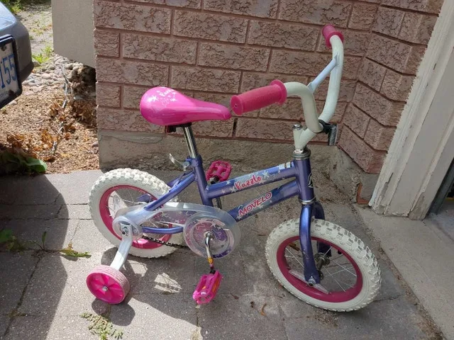 Girls bike with training wheels image indicator(2)