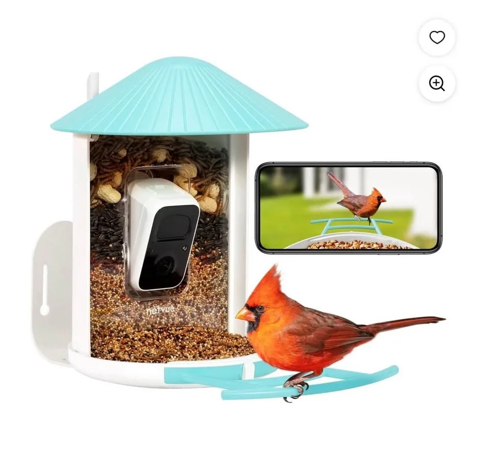Birdfy Smart Bird Feeder with Camera - 1.5 lb Capacity, Blue image indicator(2)