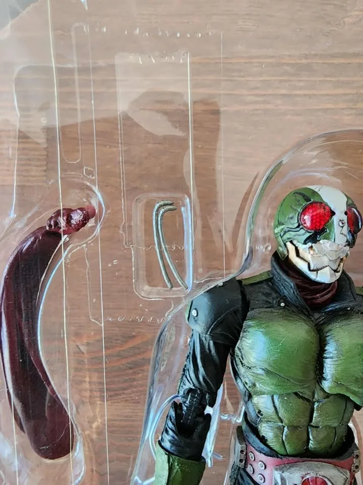 Kamen Rider Ichigo & Nigo (Movie Realization) image indicator(5)