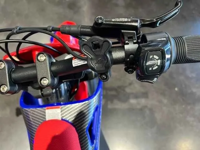 🎄 🎁%🏷️Kids Electric Dirtbike 700W 36volt 🎁% image indicator(8)