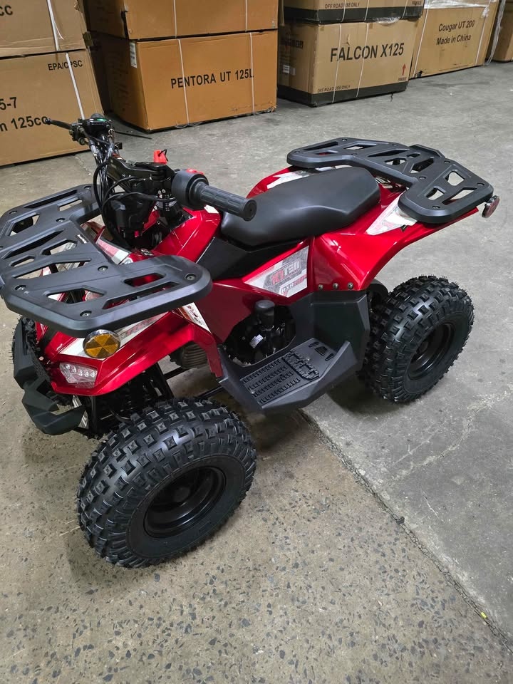 🎁 Brand New Kids 110cc ATV 🎁 Free Delivery 📦 - photo 2