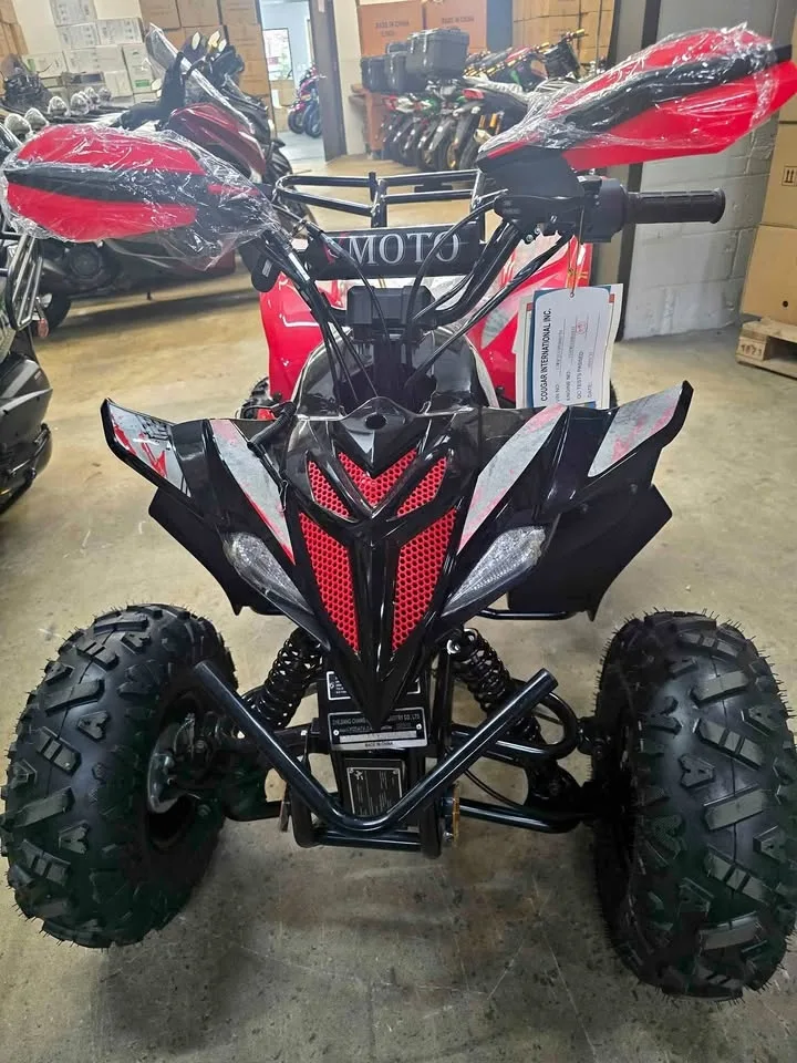 🎁 🎁 NEW Kids 125cc Apollo Atv 🎁 FREE Delivery! 📦