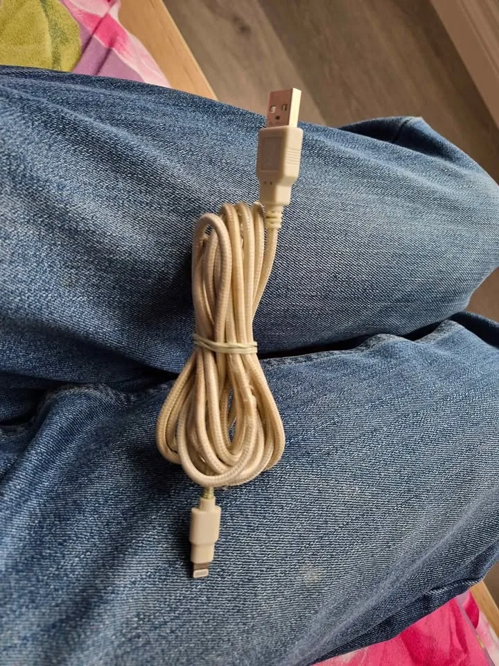 Apple fast lighting cable image indicator(2)