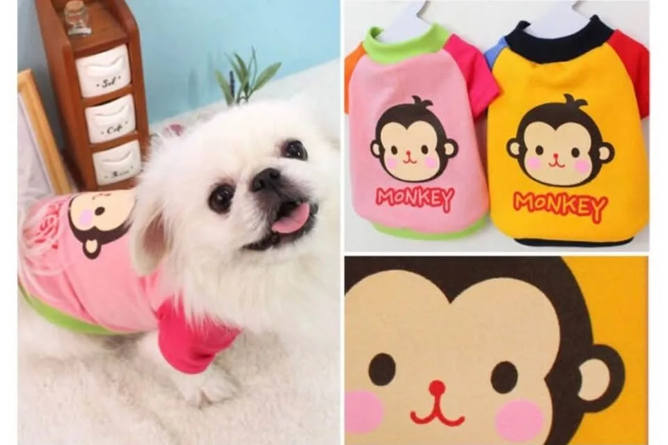 BRAND NEW-Dog clothes wholesale (appx 120pcs) image indicator(9)