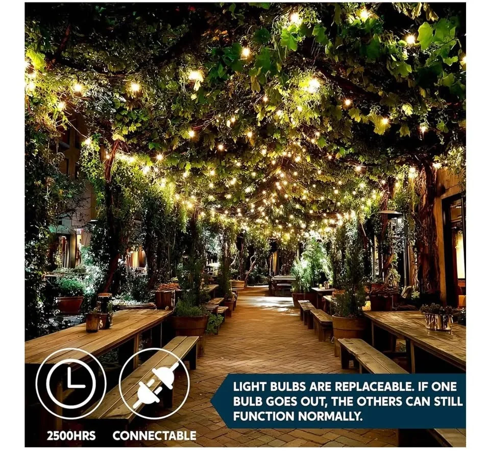 Joiedomi Clear Christmas String Lights Indoor,200 Mini image indicator(2)