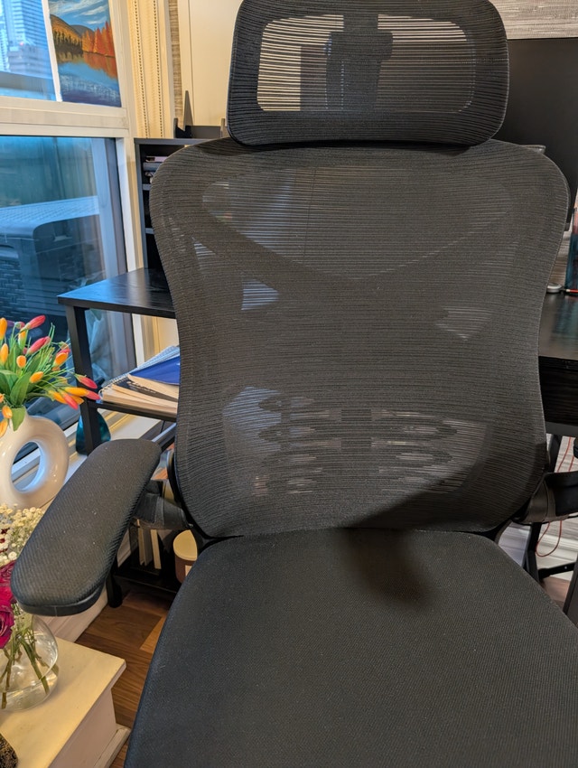 Ergonomic Mesh Office Chair - Upgraded Wheels & Flip-Up Arms - photo 3