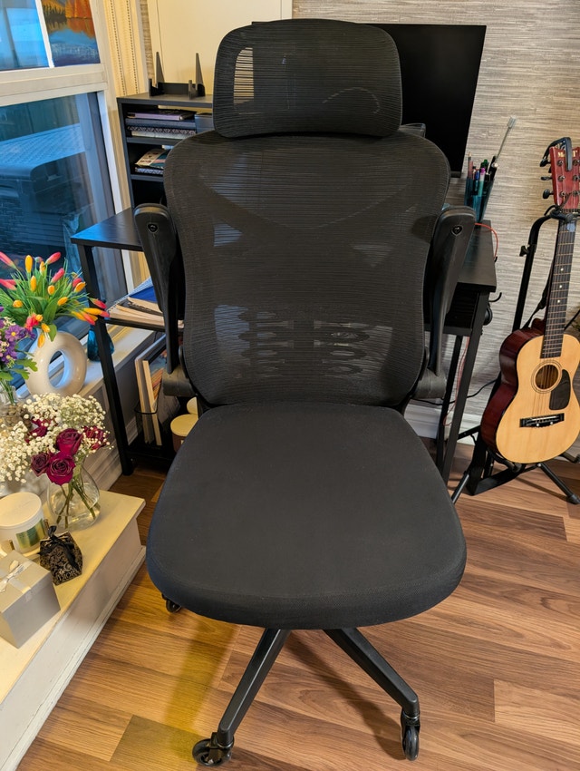Ergonomic Mesh Office Chair - Upgraded Wheels & Flip-Up Arms - photo 5