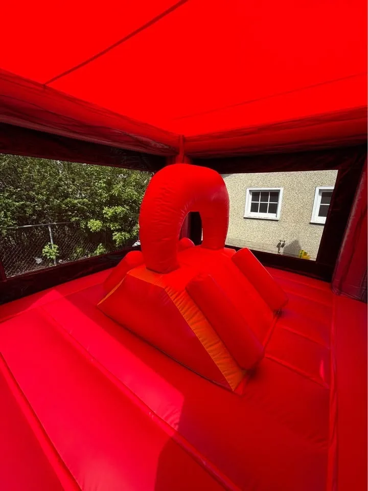 Bouncy Castles and inflatable waterslides image indicator(3)