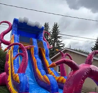 Bouncy Castles and inflatable waterslides image indicator(4)