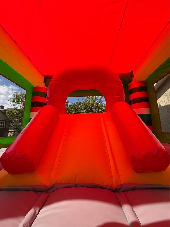 Bouncy Castles and inflatable waterslides image indicator(10)