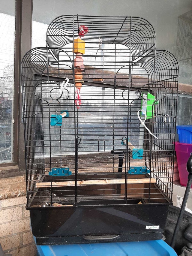 Bird cage - photo 2