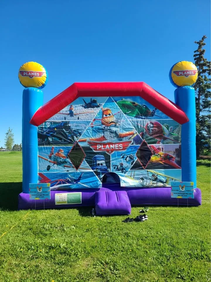 Bouncy castles for sell image indicator(9)