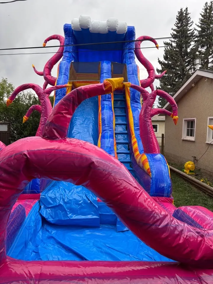 Commercial Bouncy Castle for Sell image indicator(8)