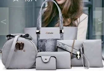 Brand new with all purses WOMAN