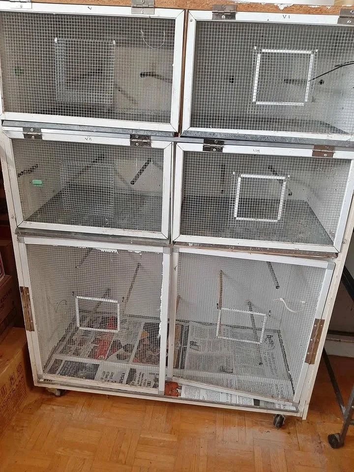 Bird cage hand maded with fly cage and wheels