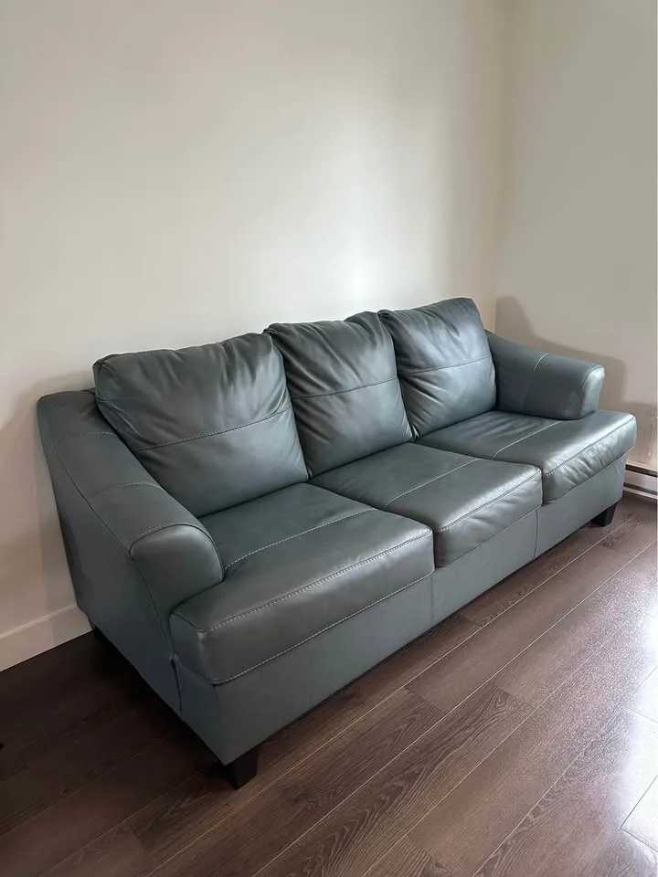 Leather Queen Sofa Bed image indicator(2)