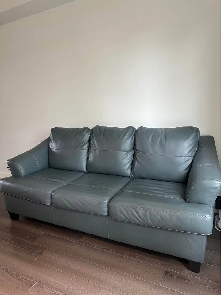 Leather Queen Sofa Bed image indicator(3)