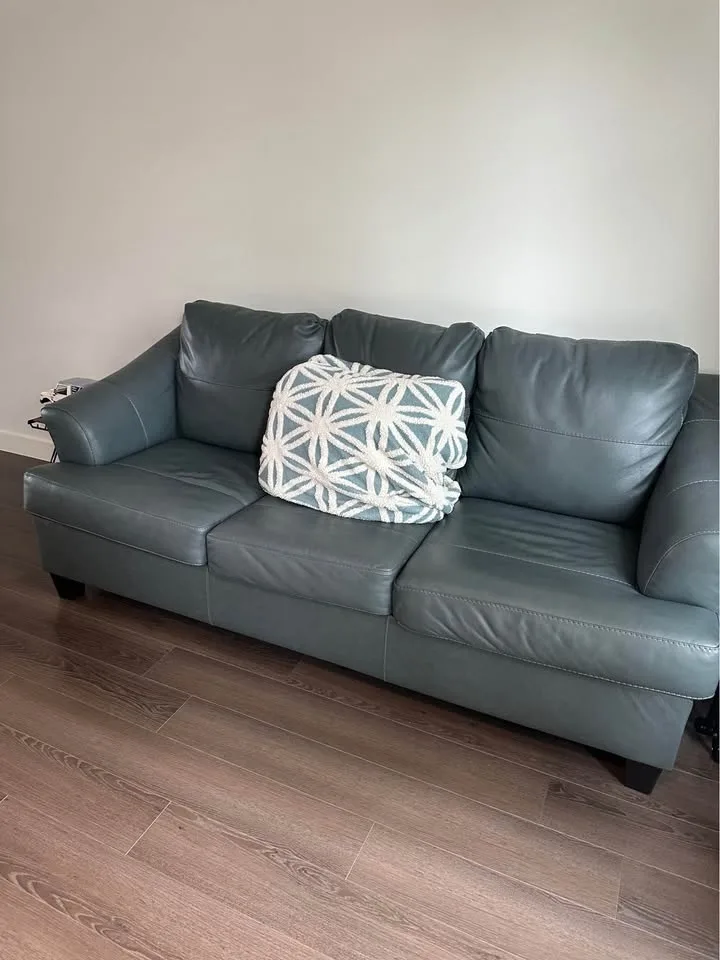 Leather Queen Sofa Bed image indicator(8)