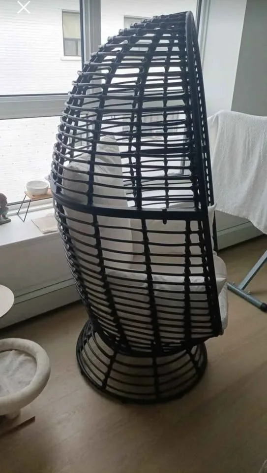 ‼️NEED GONE ASAP‼️Black Wicker Egg Chair - FIRM PRICE image indicator(2)