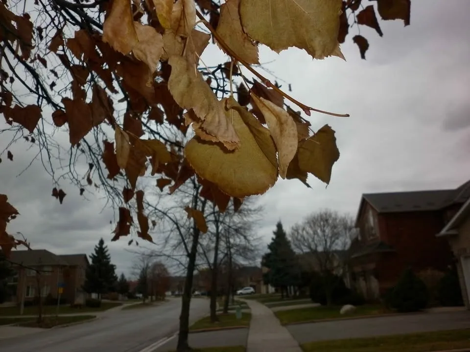 Panasonic Lumix DMC-F3 12.1 MP image indicator(4)