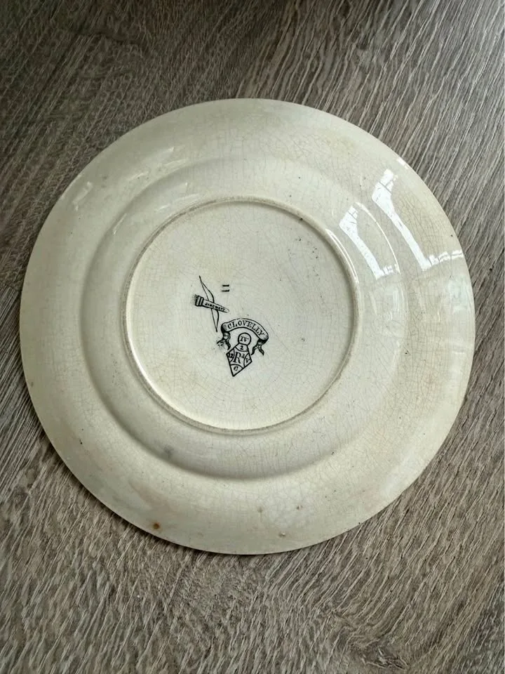 Nantasket Clovelly 1876 Seaweed, Seashells image indicator(3)