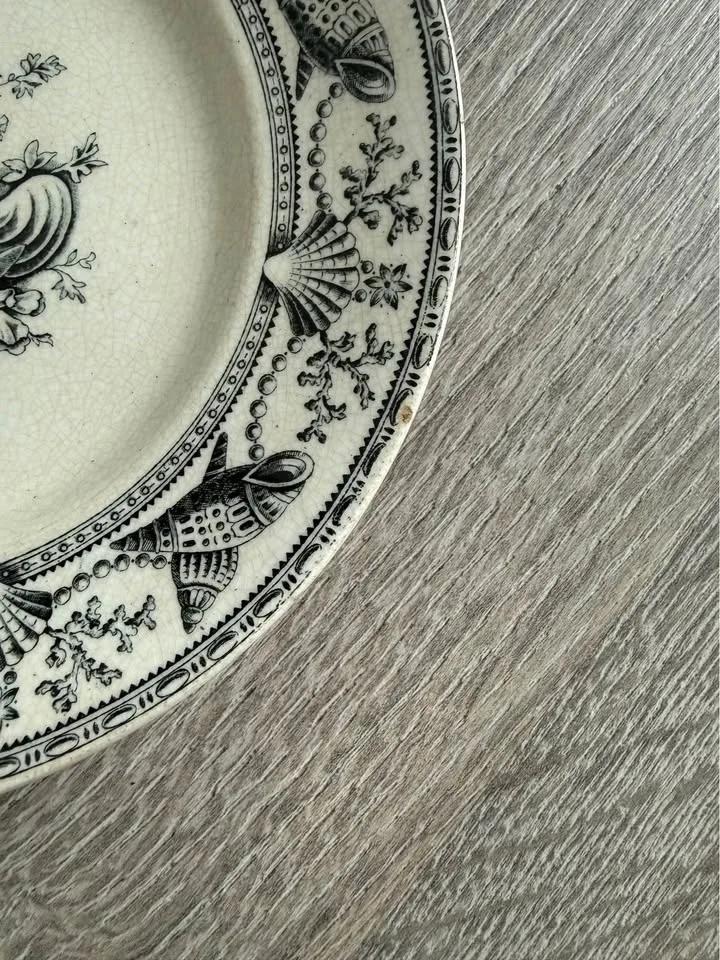 Nantasket Clovelly 1876 Seaweed, Seashells image indicator(4)