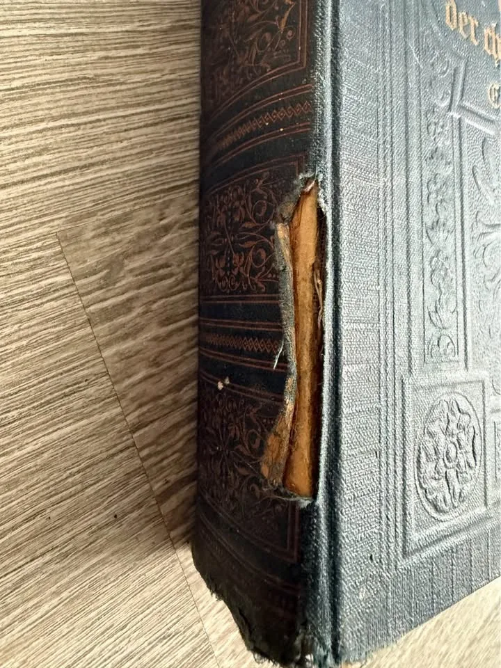 Pictures Life History Written Church Book Krauss 1910 image indicator(2)