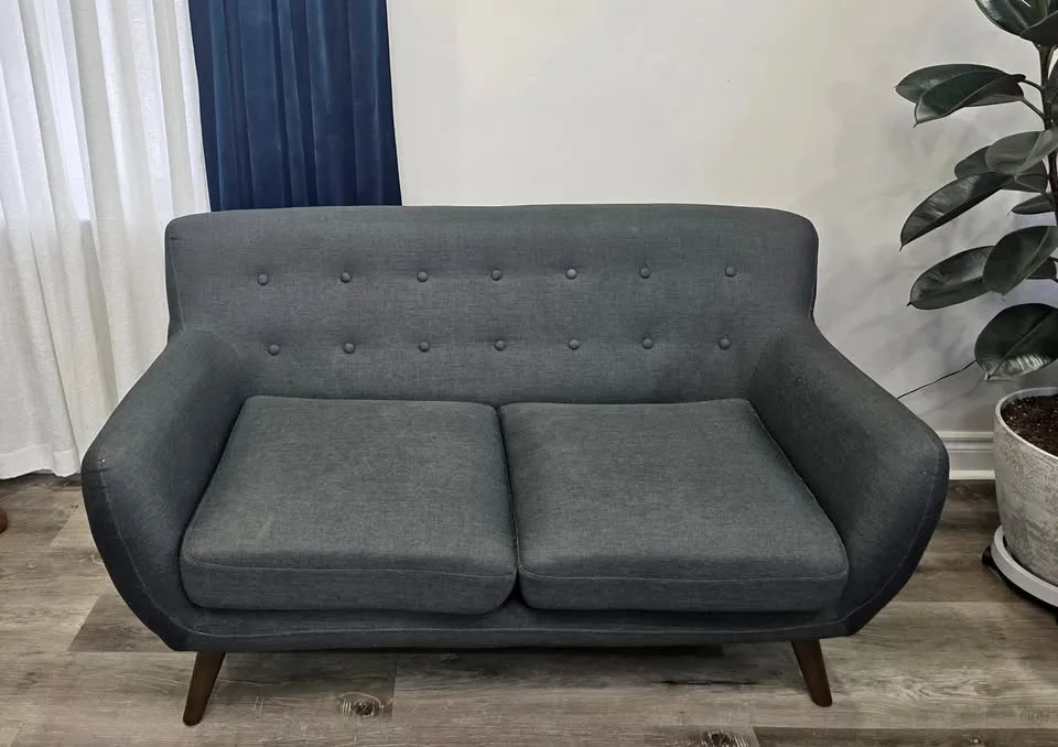 Modern Loveseat furniture