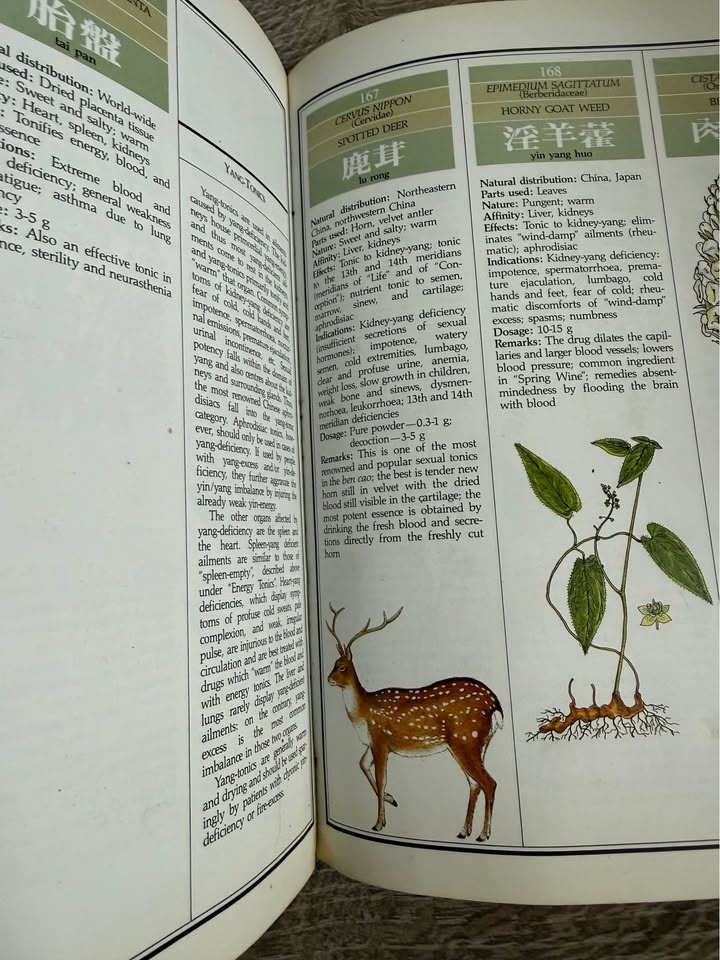 Daniel Reid Chinese Herbal Medicine 1987 - photo 3